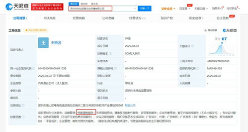 項目策劃與公關服務 從構想到影響力的系統化解決方案